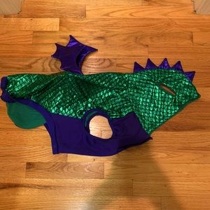 Adorable dragon pet costume - size Large